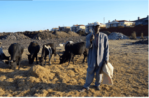 Oromo farmer on his farmland under land grabs