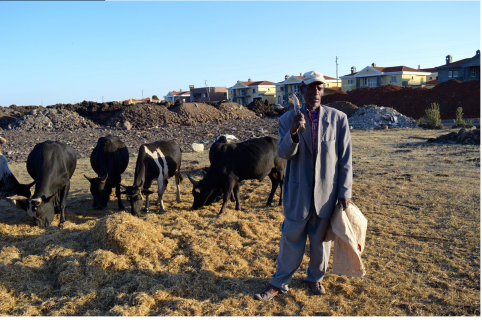 Oromo farmer on his farmland under land grabs