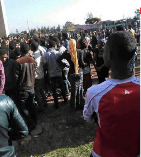 #OromoProtests at Asella Teachers College, 28 March 2016