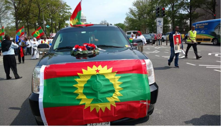 #OromoProtests in solidarity rally in DC, 19 April 2016