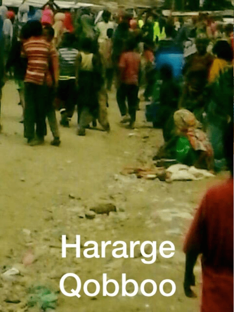 #OromoProtestsin Qobboo town, Hararghe, Eastern Oromia, 22nd March 2016
