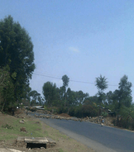 #OromoProtests in Bundhoo Bedellee, roads closed, 5 April 2016