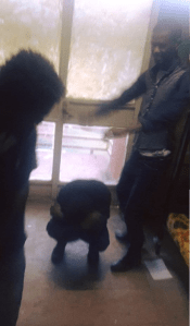 #OromoProtests @Jimma University, 13 April 2016 p1