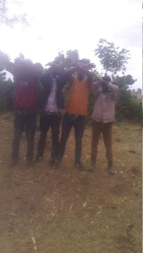 #OromoProtests, Youths at Hacaca mountain in Bale, Southern Oromia, 9 April 2016