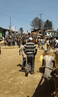 #OromoProtests, Beddellee, Iluu Abbaa Booraa, 10 May 2016