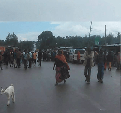 #OromoProtests, Qarsaa, Hararghe, Oromia, 10 May 2016 p2