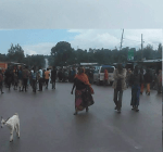 #OromoProtests,  Qarsaa, Hararghe, Oromia, 10 May 2016&nbsp;p2