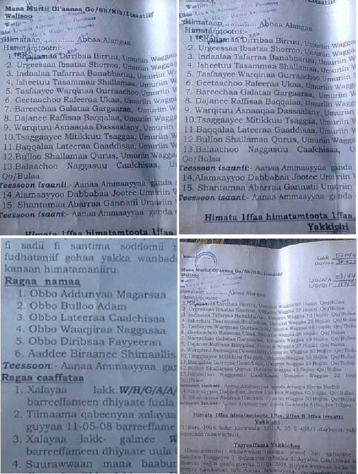 Xalayaa Aanaa Ammayyaa irra. #OromoProtests 19 June 2016