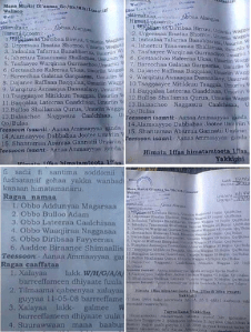 Xalayaa Aanaa Ammayyaa irra. #OromoProtests 19 June 2016