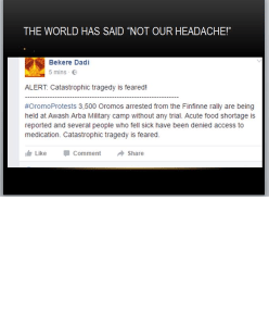 Alert, mass killings and torture is going on against Oromo people in Ethiopia.