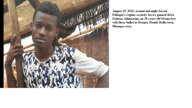 fascsit Ethiopia's regime security forces gunned down Galataa Adimaasuu, an 18 years old Oromo boy with three bullet in Oromia, Dembi Dollo town, Dhanqaa area.