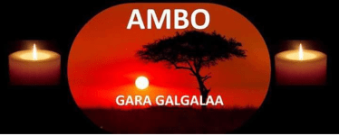 Grand #OromoProtests, Ambo, 7 August 2016