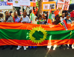 Grand #OromoProtests Global Solidarity Rally in Calgary, Canada on 19 August 2016 p2
