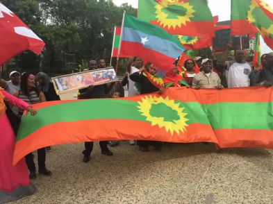 Grand #OromoProtests Global Solidarity Rally in Edmonton, Canada on 19 August 2016 p2
