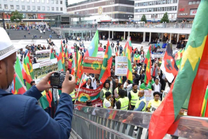 Grand #OromoProtests Global Solidarity Rally in Stockholm, sweden 19 August 2016