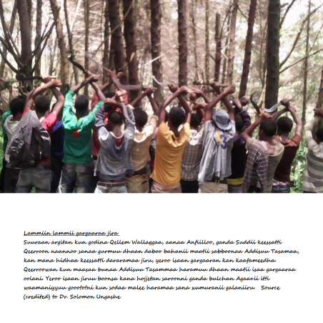 Lammiin lammii gargaaraa jira. #OromoProtests in Qellem Wallaggaa, Anfiilloo, Suddii. 24 August 2016