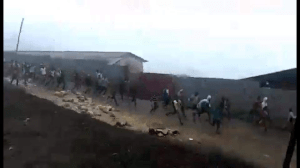 #OromoProtests 1st August 2016 in Dadar, Hararghe, Oromia.TPLF (fascist) Ethiopia's regime forces firing live bullet on protesters