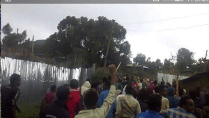 #OromoProtests 1st August 2016 in Dadar, Hararghe, Oromia.