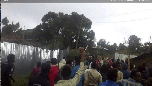 #OromoProtests 1st August 2016 in Dadar, Hararghe, Oromia.