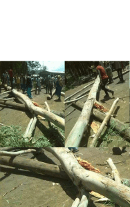 #OromoProtests, Baddeessaa, Hararghe, Oromia 2nd August 2016