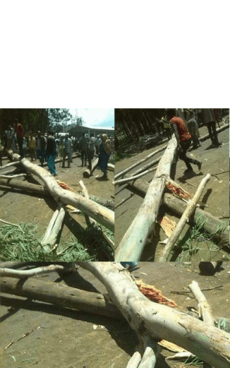 #OromoProtests, Baddeessaa, Hararghe, Oromia 2nd August 2016