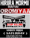 #OromoProtests, beeksisa, Hiriiraa Hagayya 6 bara 2016&nbsp;p1