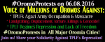 #OromoProtests, #GrandOromiaMarch 6 August 2016, all over Oromia. Dhaadannoo.&nbsp;p1