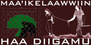 #OromoProtests, #GrandOromiaMarch 6 August 2016, all over Oromia. Dhaadannoo. p8