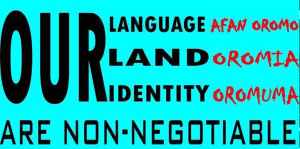 #OromoProtests, #GrandOromiaProtests, 6 August 2016, all over Oromia. Dhaadannoo. p10