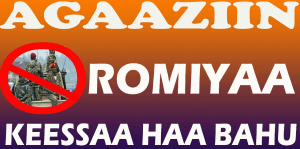 #OromoProtests, #GrandOromiaProtests, 6 August 2016, all over Oromia. Dhaadannoo. p110