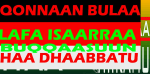 #OromoProtests, #GrandOromiaProtests, 6 August 2016, all over Oromia. Dhaadannoo. p114