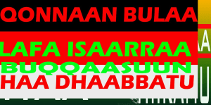 #OromoProtests, #GrandOromiaProtests, 6 August 2016, all over Oromia. Dhaadannoo. p114