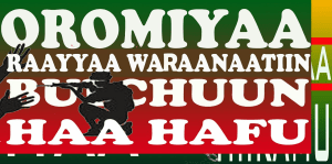 #OromoProtests, #GrandOromiaProtests, 6 August 2016, all over Oromia. Dhaadannoo. p115