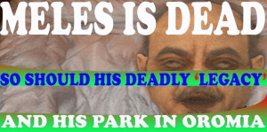 #OromoProtests, #GrandOromiaProtests, 6 August 2016, all over Oromia. Dhaadannoo. p118