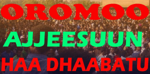 #OromoProtests, #GrandOromiaProtests, 6 August 2016, all over Oromia. Dhaadannoo. p8