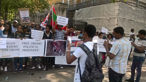 WP_20160816_12_49_26_Pro 1