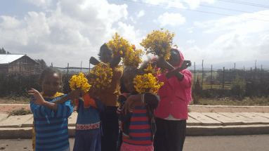 birraan-baranaa-kan-bilisummaatti-oromoprotests-during-irreechaa-season-september-2016