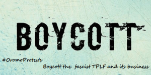 Boycott the fascist TPLF and its business. #OromoProtests at Naqamte 6 September 2016