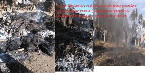 fascist-ethiopias-regime-tplf-is-conducting-genocide-against-konso-people
