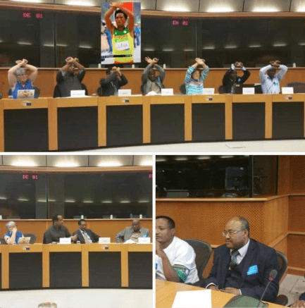 Solidarity with #OromoProtests at European Parliament at the conference on land grabs in Afar state. 2nd September 2016