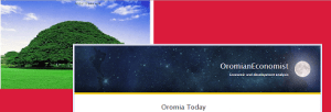 oromianeconomist