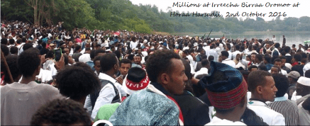 over-4-million-oromo-people-attended-irreecha-birraa-2016-celebration-at-bishoftu-town-horaa-harsadii-oromia-on-october-2016