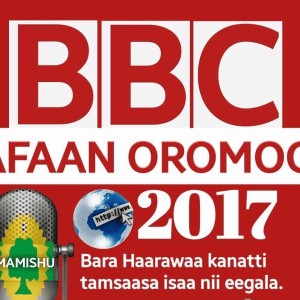 bbc-afaan-oromoo-in-2017