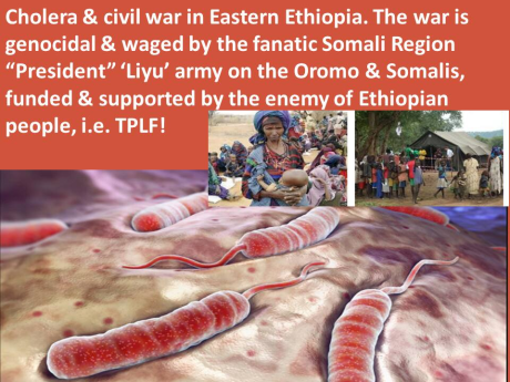 fascist-ethiopias-regime-tplf-is-conducting-genocide-in-ethiopia-it-has-segemented-forces-into-agazi-federal-police-liyu-police-defence-forces-etc-all-to-conduct-genocide-in-different-forms