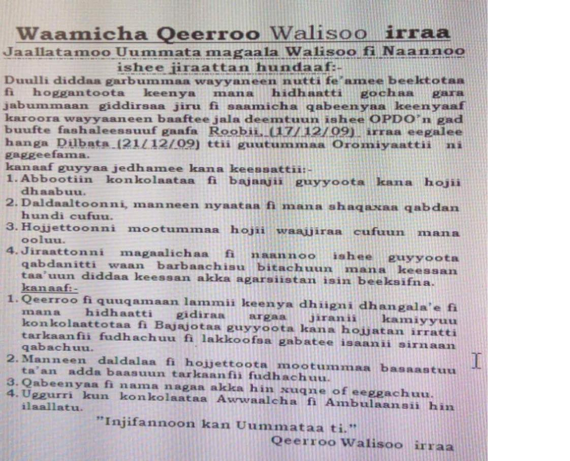 Waamicha Qeerroo Walisoo