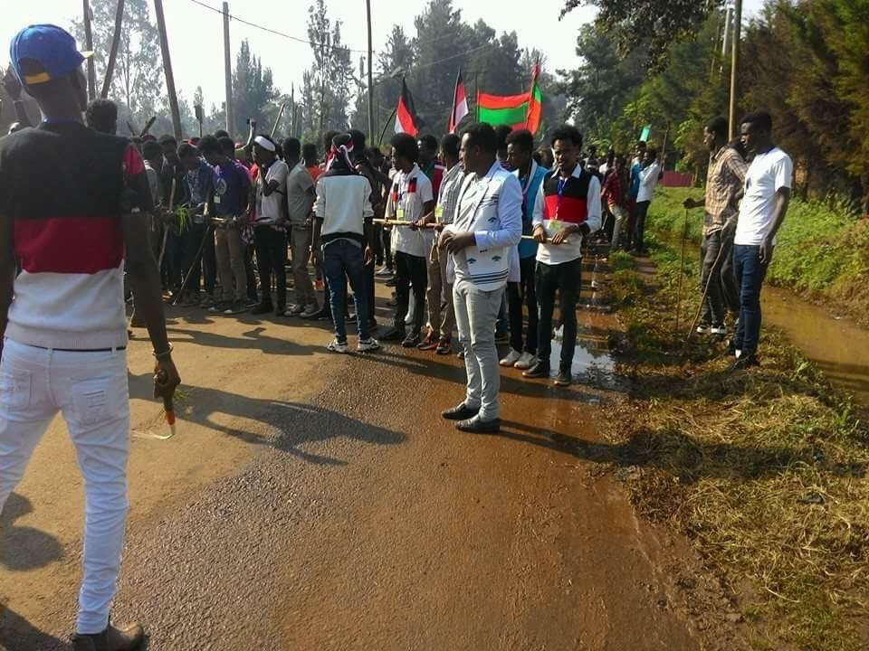 Irreecha Birraa 2017 at Malkaa Booyyee, Jimmaa Abba Jifar, Oromia, 22 October 2017 (6411 ALO)