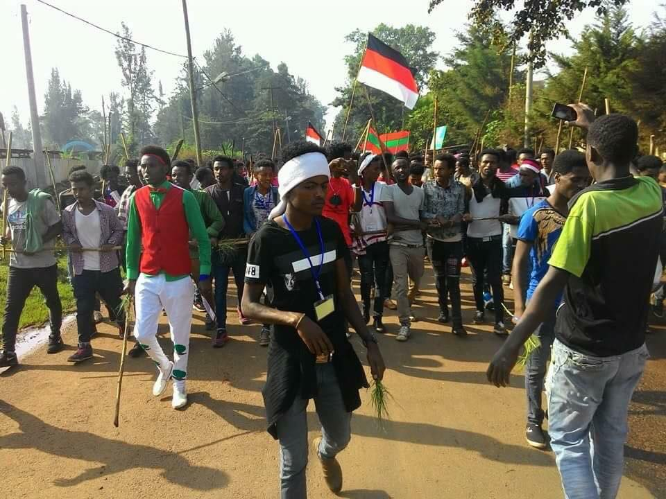 Irreecha  Birraa  2017,   Malkaa Booyyee, Jimmaa  Abba Jifar, Oromia on 22nd October 2017 (6411 ALO).png