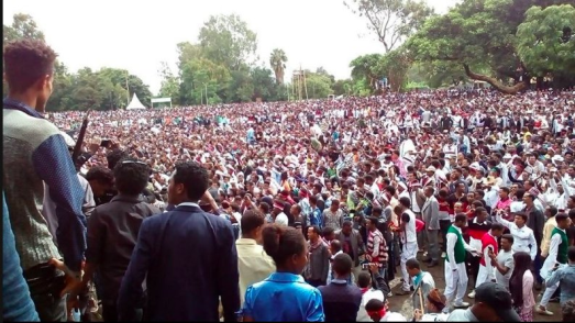 Irreecha Birraa bara 6411 (ALO), Irreecha Birraa Oromoo 2017, Hora Harsadii, Bishoftu Oromia. 1st October 2017 colorfully celebrated with millions Oromo in Bishoftu, Oromia.png