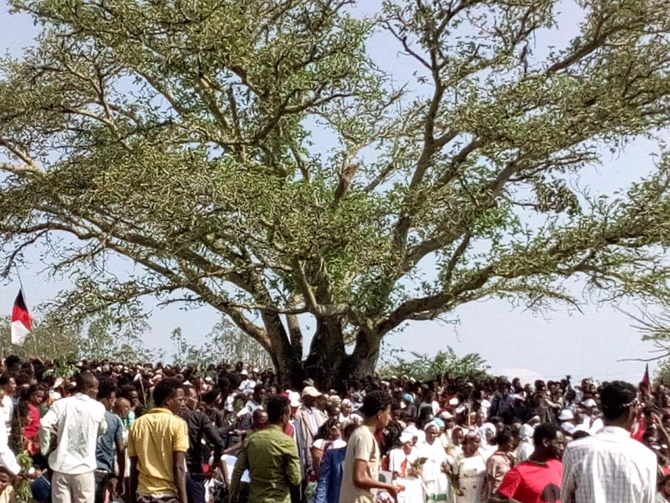 Irreecha Birraa Oromoo 2017 at Mandii, Mana Sibuu district, Oromia, on 15 October 2017