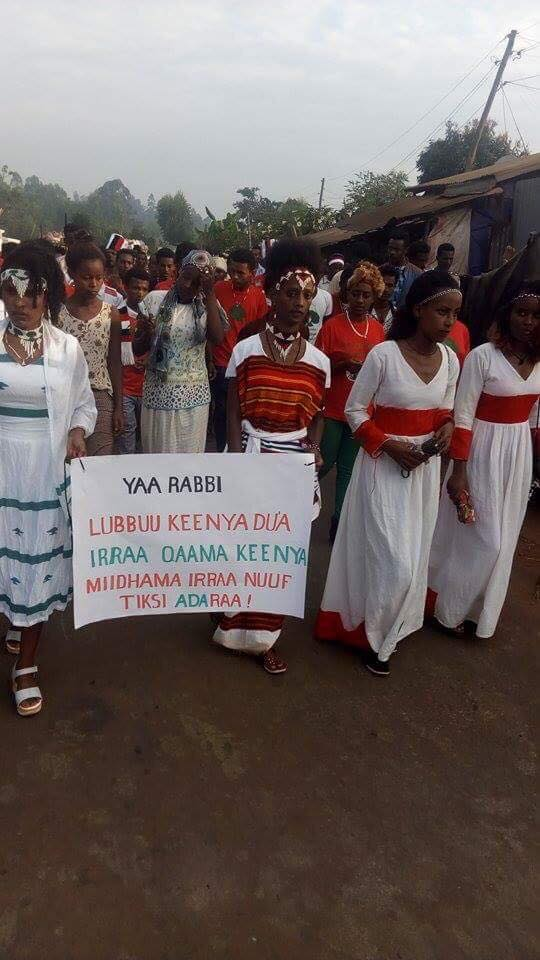 Irreecha birraa 2017, Malkaa Soorii, Iluu, Oromia,  November 2017..png